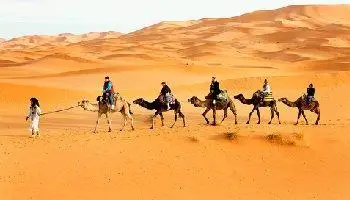 Cameltrek and sunset in the desert &ndash; 1 night in Erg Chebbi, with camelriding and sunset in the desert